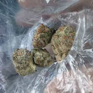 Meet your Posher, Walter